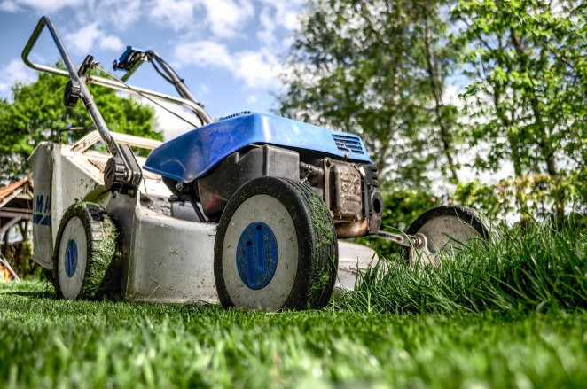 Generic service illustration: garden maintenance